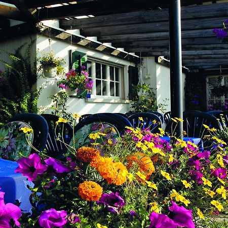 Hotel Garni Sonne Münsterlingen 外观 照片
